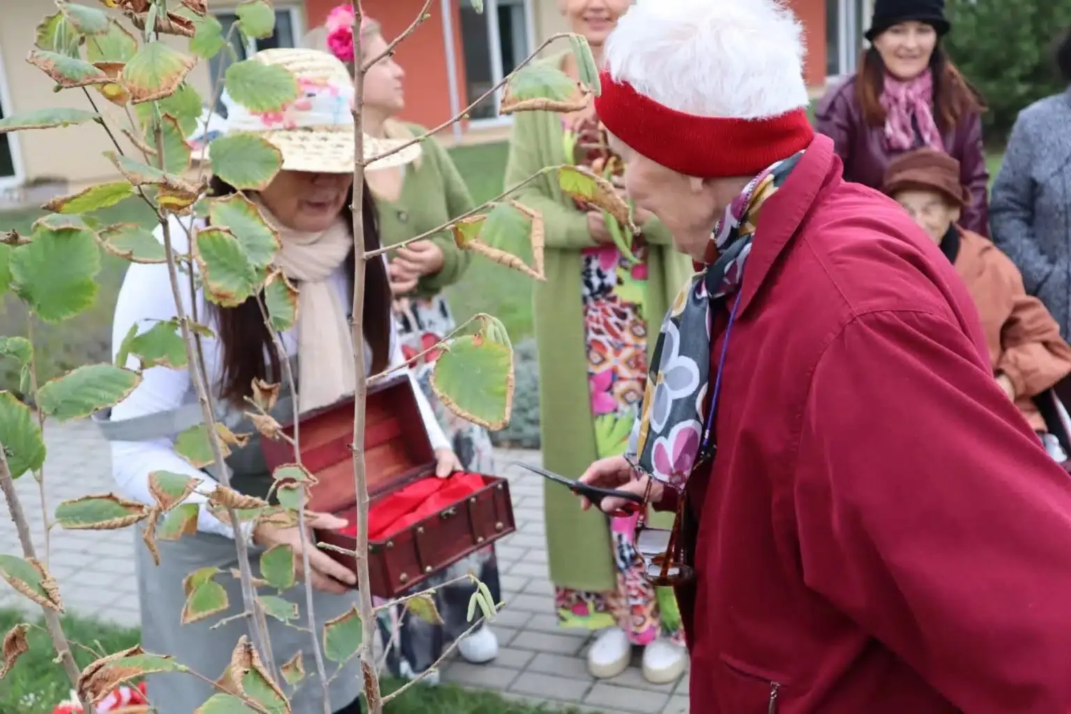 Senevida Šanov - aktivizační program