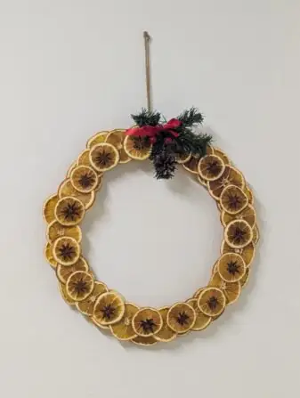 PXL_20251126_142218728