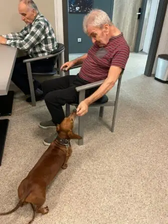 WhatsApp Image 2025-11-21 at 17.09.31