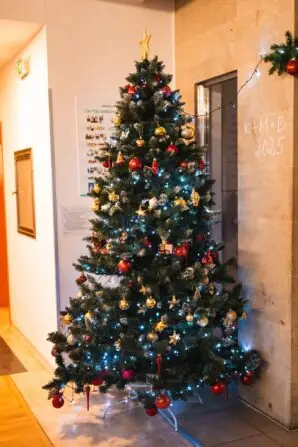 WhatsApp Image 2025-11-30 at 16.53.20