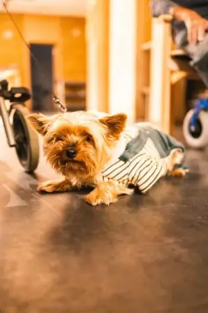 WhatsApp Image 2025-11-30 at 16.53.21 (4)