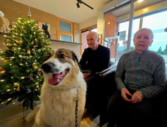 WhatsApp Image 2025-12-02 at 13.38.10 (1)