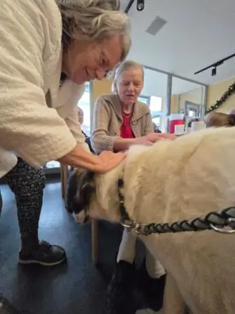 WhatsApp Image 2025-12-02 at 13.41.32 (1)