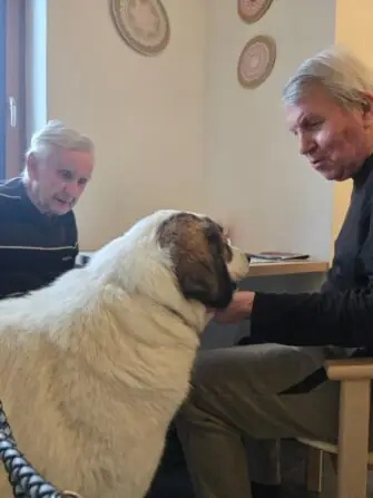 WhatsApp Image 2025-12-02 at 13.41.32