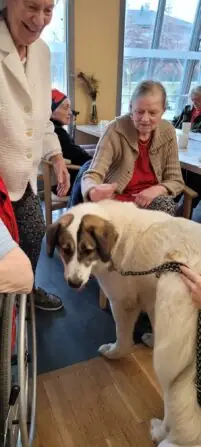 WhatsApp Image 2025-12-02 at 13.48.36 (1)