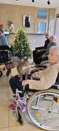 WhatsApp Image 2025-12-02 at 13.48.37 (5)