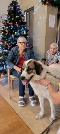 WhatsApp Image 2025-12-02 at 13.48.37 (6)