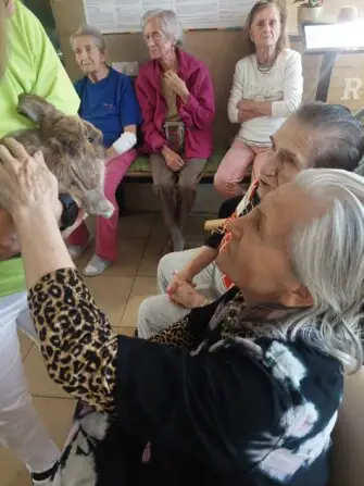 WhatsApp Image 2025-12-02 at 13.56.52