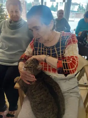 WhatsApp Image 2025-12-02 at 13.57.00 (1)