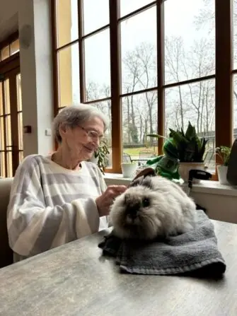 a504c1a4-96a4-4abc-b788-6af9d275c5b9