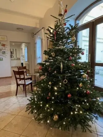 2025 12 Vánoce (19)