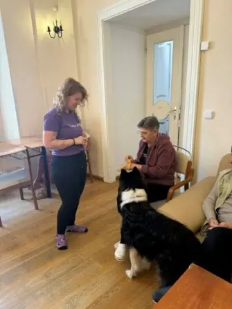 2026 01 09 canisterapie (12)