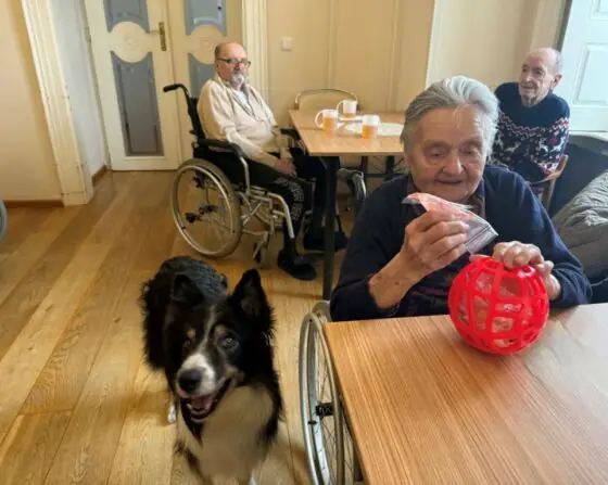 2026 01 09 canisterapie (28)