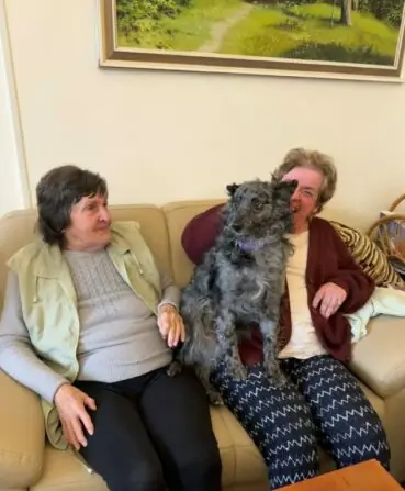 2026 01 09 canisterapie (6)