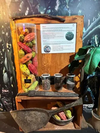 92eeb72c-99a4-41d2-b9d3-99851f41d251