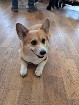 IMG-20250424-WA0079-1152x1536