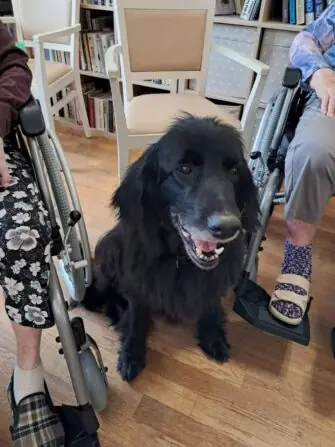 IMG-20250424-WA0083-1152x1536