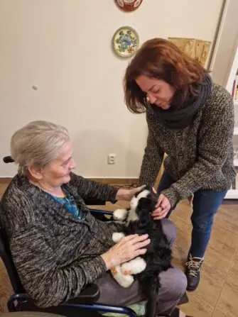 Kočka_Ježíškova vnoučata_3