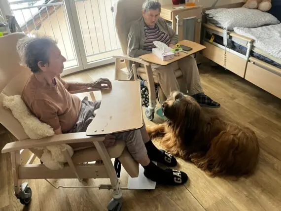 PHOTO-2026-01-19-13-59-21.jpg 6