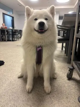 WhatsApp Image 2026-01-18 at 12.27.27