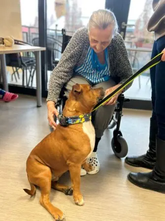 WhatsApp Image 2026-01-27 at 07.56.42