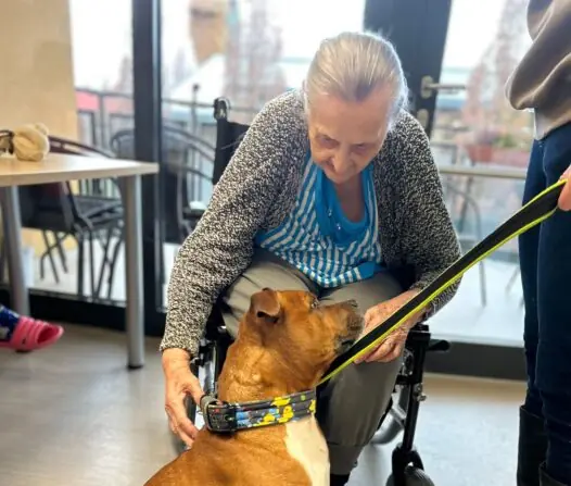 WhatsApp Image 2026-01-27 at 07.56.42