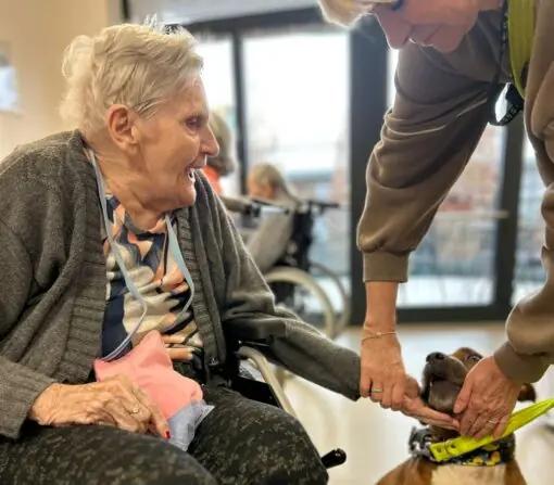 WhatsApp Image 2026-01-27 at 07.56.43