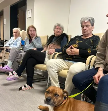 WhatsApp Image 2026-01-27 at 07.56.44 (1)