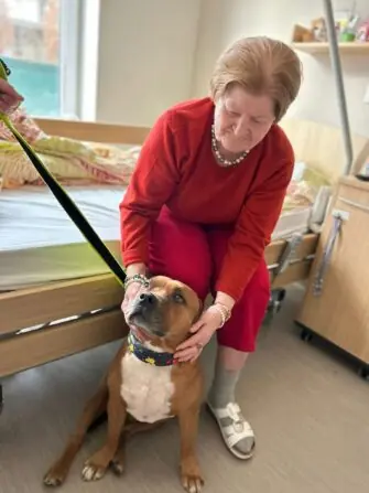 WhatsApp Image 2026-01-27 at 07.56.44