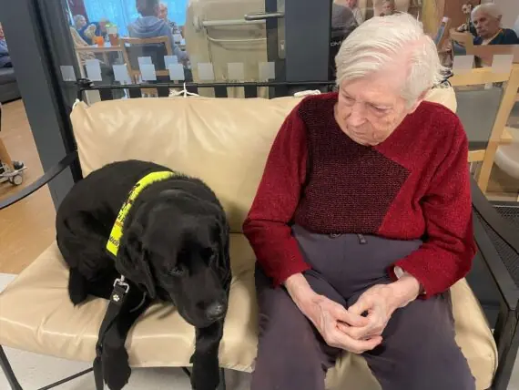 motion_photo_8450240507098336893