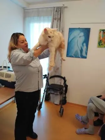 1000000400-1152x1536