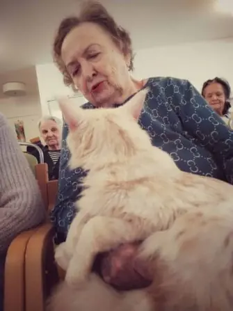 1000000455-1152x1536