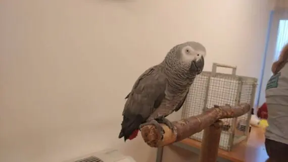 1737356675384-1536x864