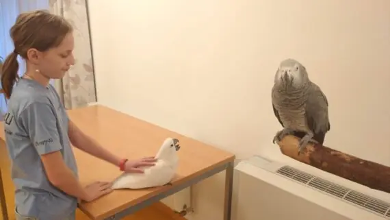 1737356675392-1536x864