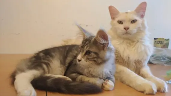 1743171632598-1536x864