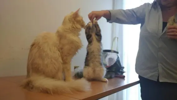 1743171632633-1536x864