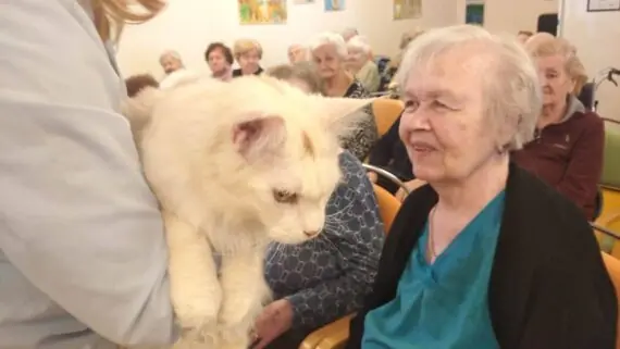 1743171632652-1536x864