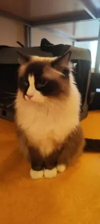 1743356556672-692x1536