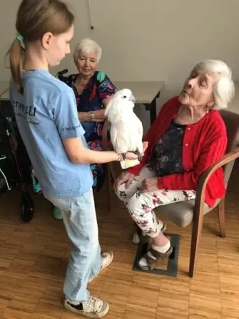 2-w-scaled-e1743418189127-1152x1536