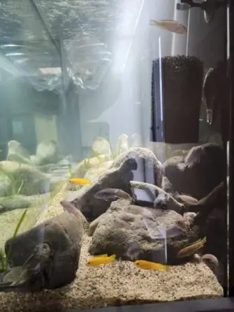 20241010_141959-1152x1536