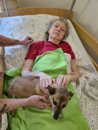 333fcc16-9e56-4bee-a96f-b7e2ffaef75b