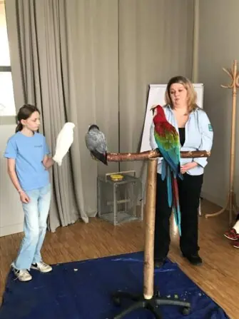 5-w-scaled-e1743418244389-1152x1536