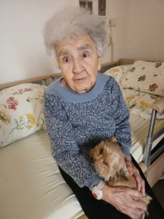 5f5cc480-3d1f-4c82-b3d7-d496dcc36523