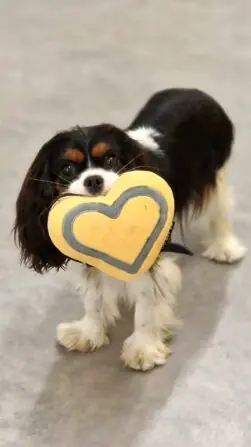 IMG-20241121-WA0015-864x1536