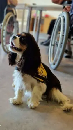 IMG-20241121-WA0020-864x1536