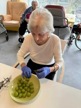 IMG-20250123-WA0007-1152x1536