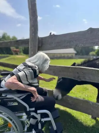 IMG-20250604-WA0217-1152x1536