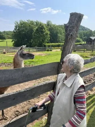 IMG-20250604-WA0223-1152x1536