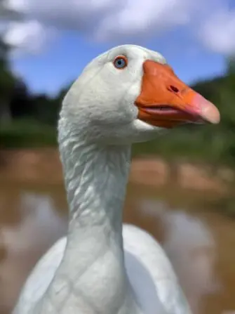 IMG-20250604-WA0256-1152x1536