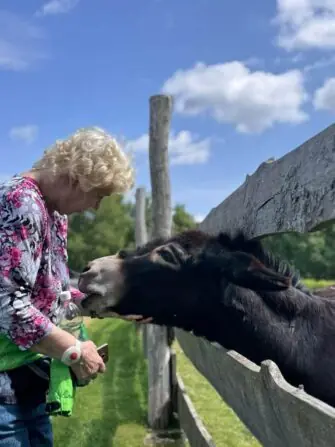 IMG-20250604-WA0326-1152x1536